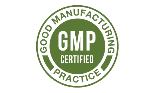 Java Brain GMP Certified practice